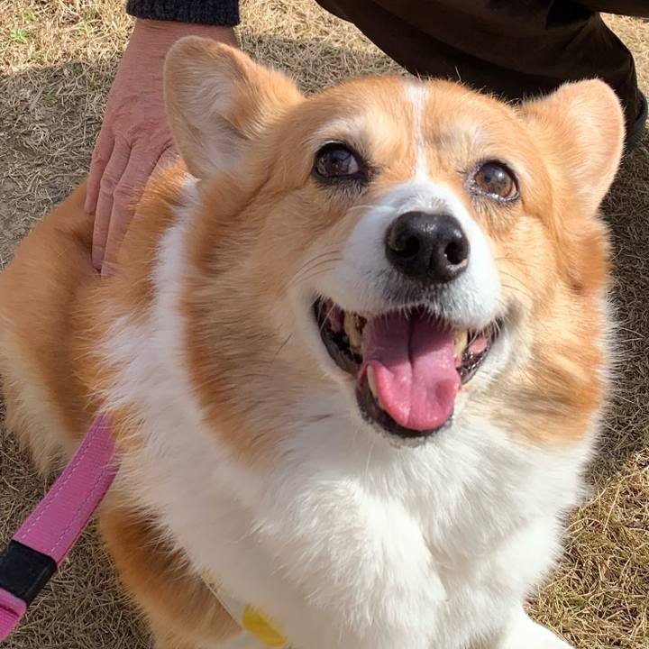 96919b38 d7b1 49db 93c4 224e241dd2c9 1707016186333