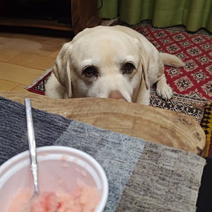 9691ad89 0147 4016 acb1 37616d800acb 1744165829526