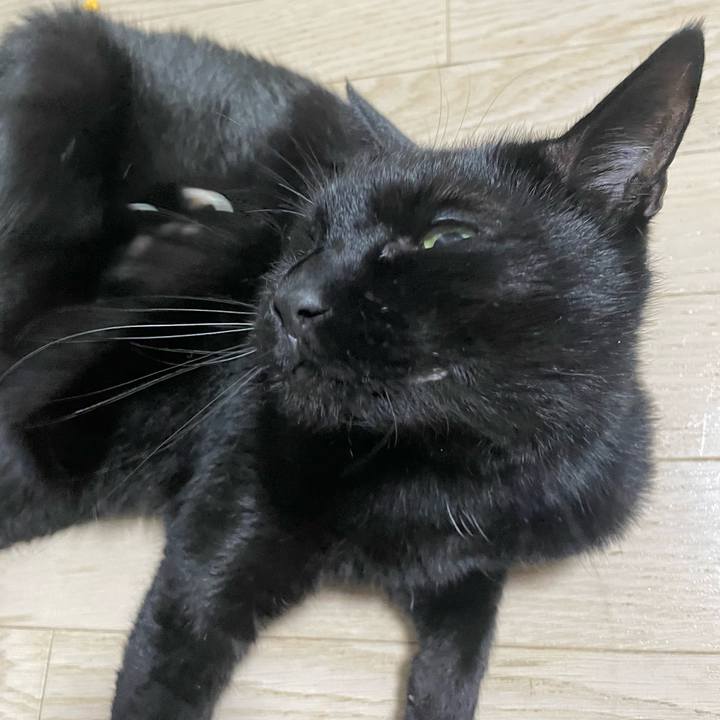 9691b3e0 7002 4745 adcc 186691cff93a 1705142285961