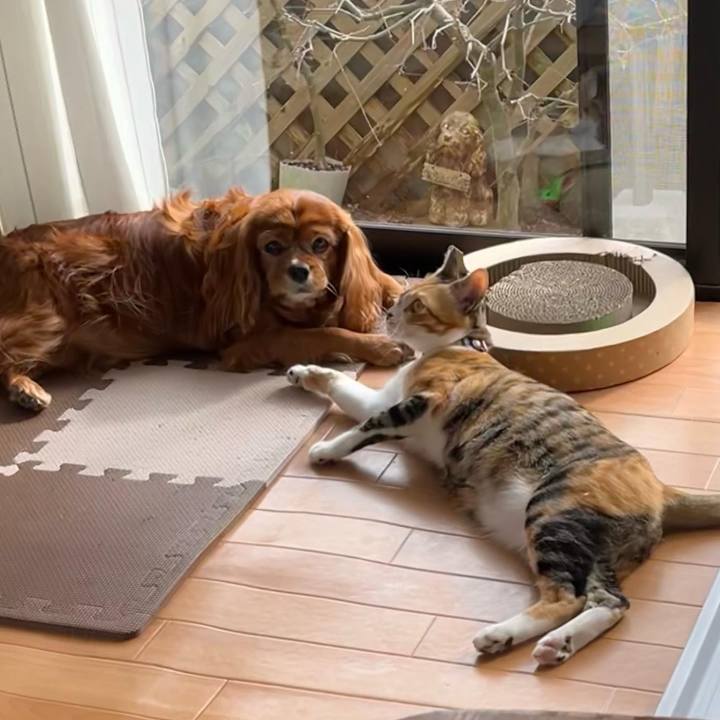 9691b729 1299 452f abf8 745780f06ece 1758613778441