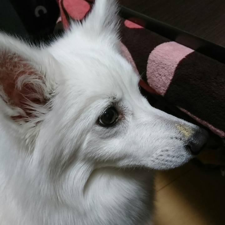 9691c6ca d6f3 4f33 a484 7bab8976b761 1512622332719