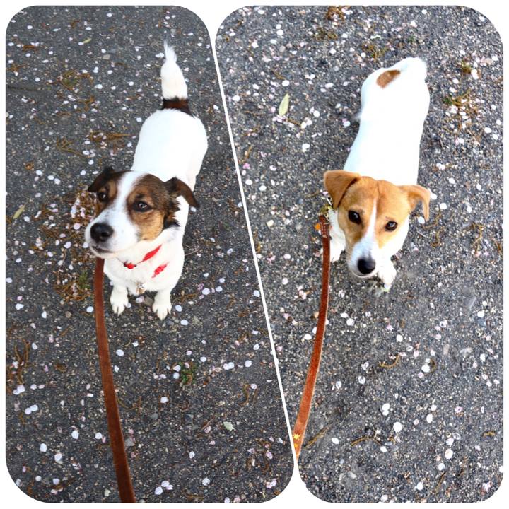 9691d360 cadf 4036 83a7 a6c16bcf90fd 1554806971820