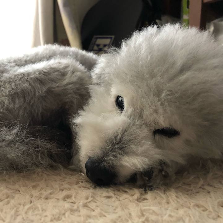 9691eee9 37a9 47cd 9654 f27993fcd659 1622366842896