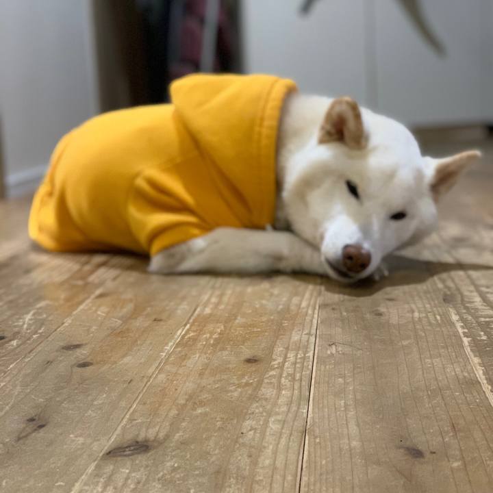 9691fa74 2d0c 483f a980 b6bff61dd70e 1645230437974