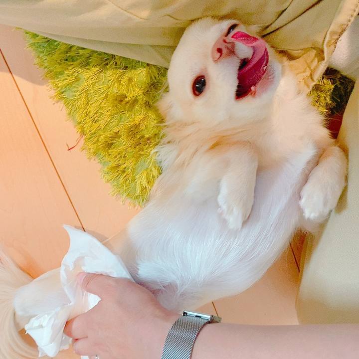 96926e13 1a6f 4d69 a77e 99a575689f8b 1622182722894