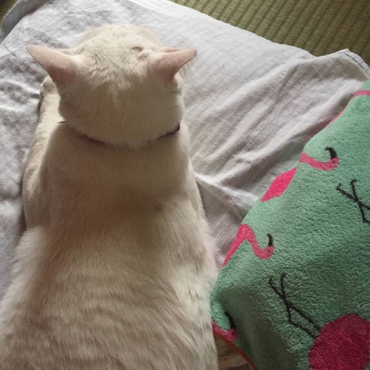 9692a47f 05c4 4628 9317 1a55b59fbf91 1566164152654