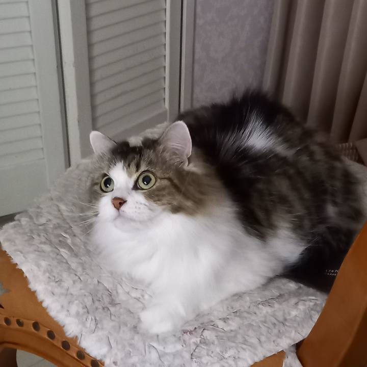 9692da20 0d30 4888 a9e6 792d70cc0d8d 1667997665640