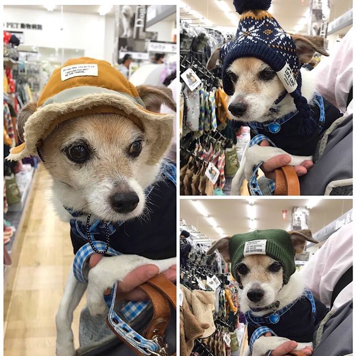 9692fbed f337 47f9 bb55 55ae49a890bf 1665375922274