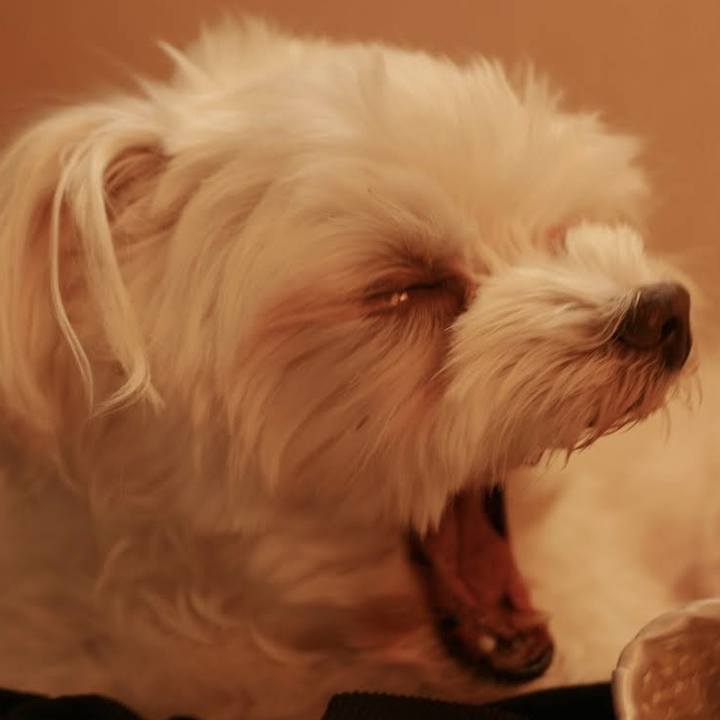 96930b38 b96b 43e1 ace3 ba2e11c06559 1774316436609