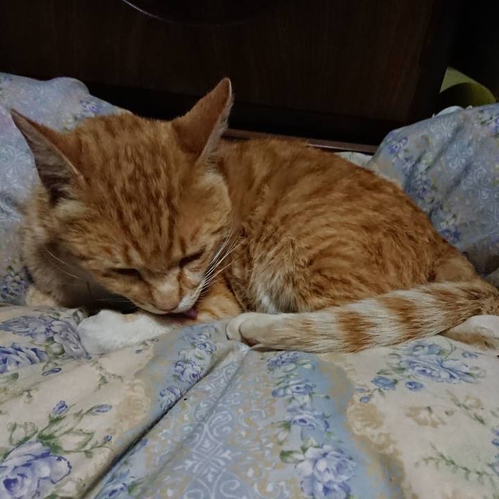 96930c7d fe63 4c9c 9c4f 88f27864ee55 1590494500366