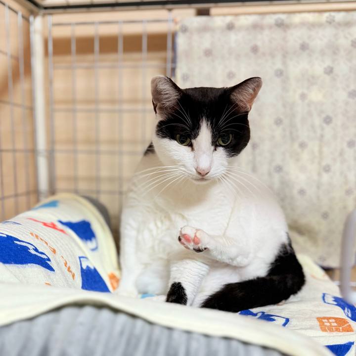 9693104b 9ccd 4ed8 b3cc 69e2bebe3578 1737344662266