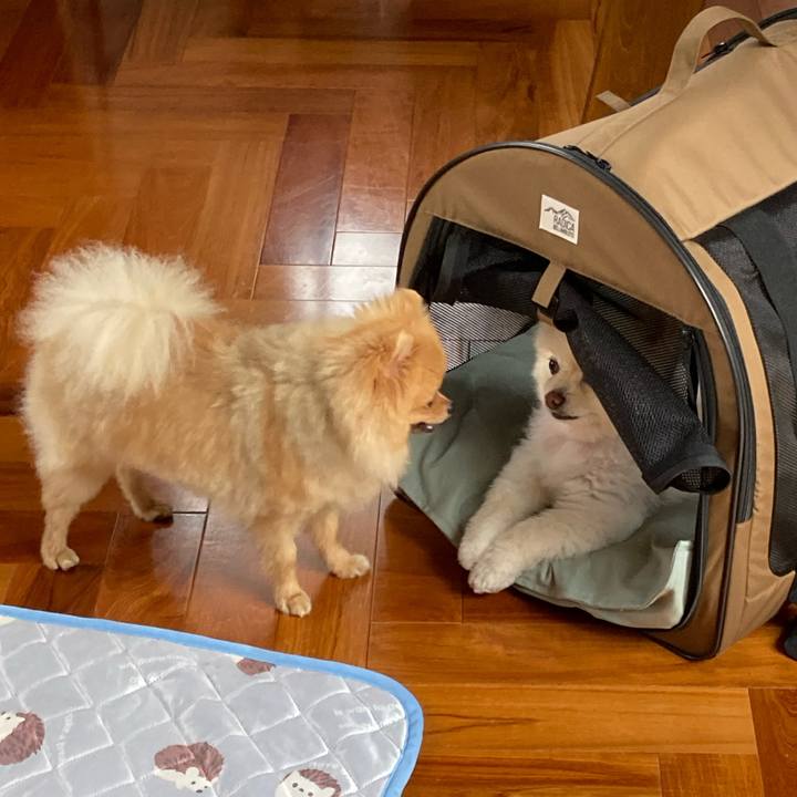 9693559d 7065 4baa 8067 8c3c4e11b5aa 1656887267224