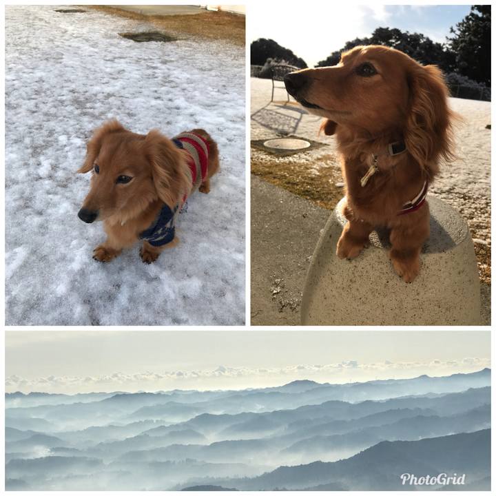 969383c7 3685 4db0 9fd7 2ec645efaa5d 1515199477052