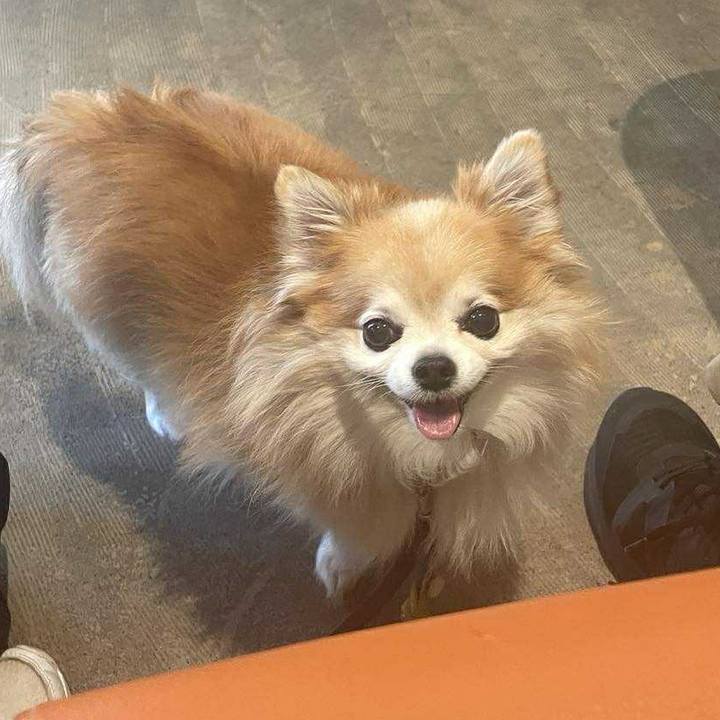 96938775 4fd3 41dc bf16 3d69a2704972 1760922600545