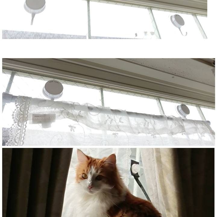 969390d1 2341 4977 a256 ea56fa686c84 1553311877182