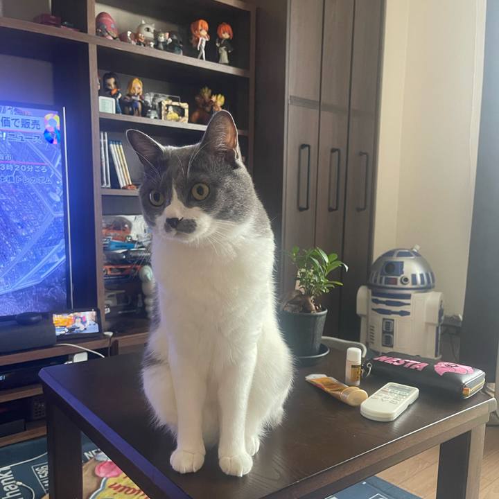 96939506 4b9d 46b7 beee 6935f5a3350a 1695337619274