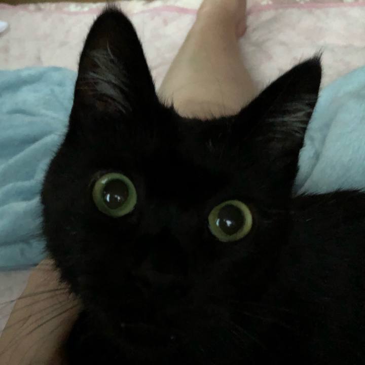 9693af22 bcd0 4849 b40c e01f6859347f 1563963911342