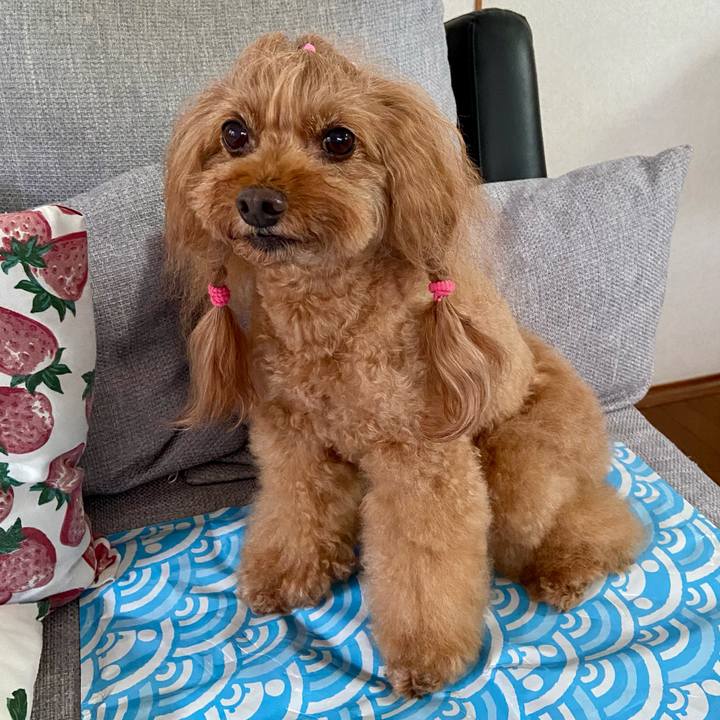 9693c782 0f1c 4a34 97c3 704ced3d4190 1758667410876