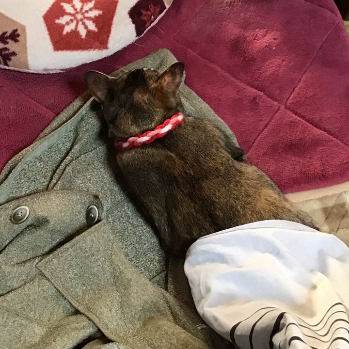 9693efd0 91b4 4de5 99ff df310fff6e1c 1605424967432