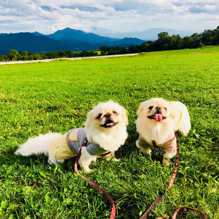 96943f27 a678 4436 ae60 92e431281237 1569036004767