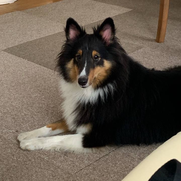 969444ee 32b9 461d a373 c595e3c52001 1568412579855