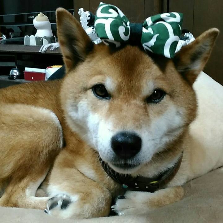 96948486 0aee 4eb2 8278 a22c3dd191d0 1557737710227