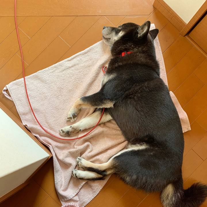 96949691 e637 4483 bb81 40e10956c117 1591606442713