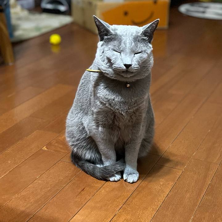 96949e1c 955f 4c37 acdf 88451c61a0ab 1734960015056