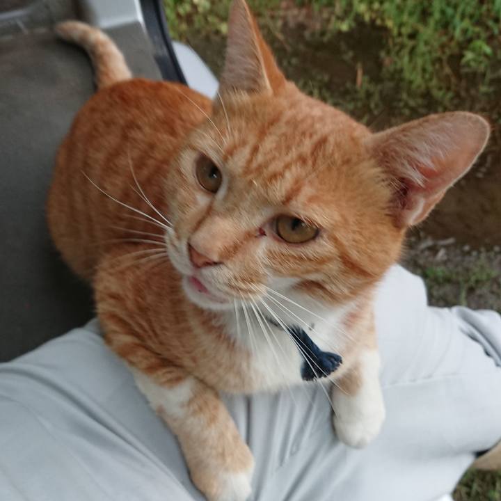 9694a086 f573 4142 a7d8 f6944d1ffdf8 1567500568673