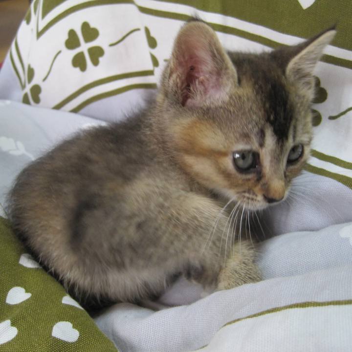 9694a4a2 cd72 4db4 8401 346625d95693 1575766228110