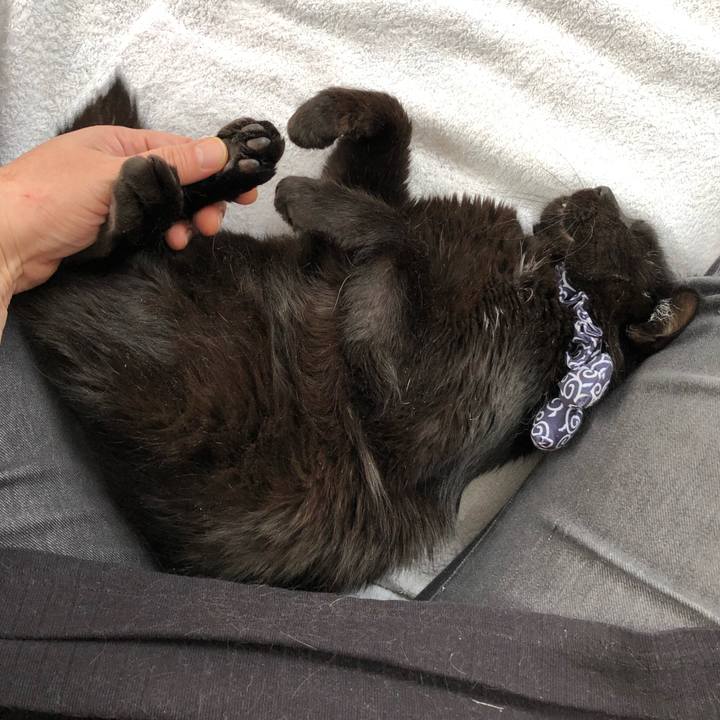 9694c798 cdf4 4a7e bdb6 6bd2fc2a5c8c 1578118537308