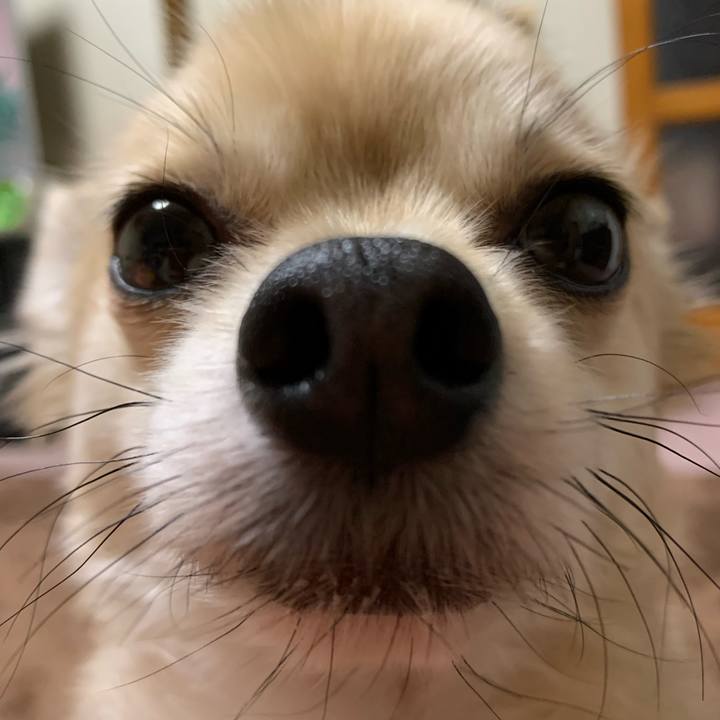 9694eea1 b45c 4005 8814 8f168e0914a6 1639874497666