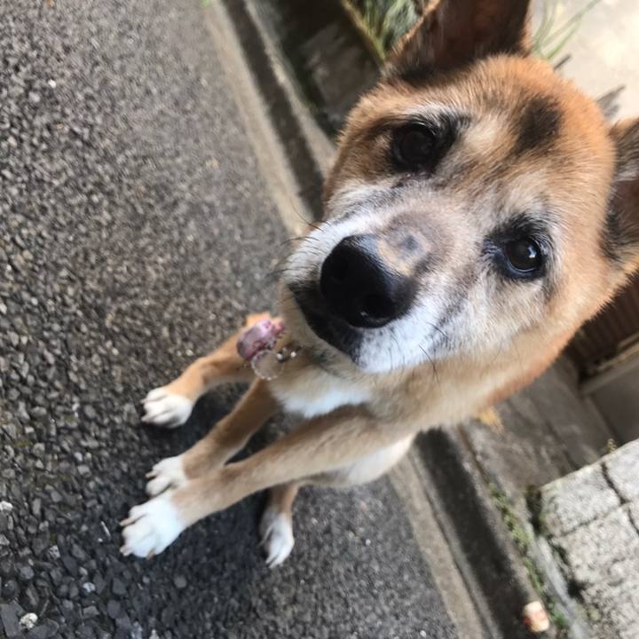 9694f052 d77e 4d43 901f f8a5c28088a8 1559167586278