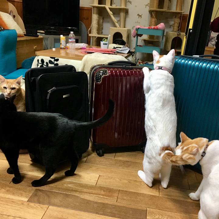 9694f347 a5f2 4538 bba9 303b4b835fc6 1547043112661