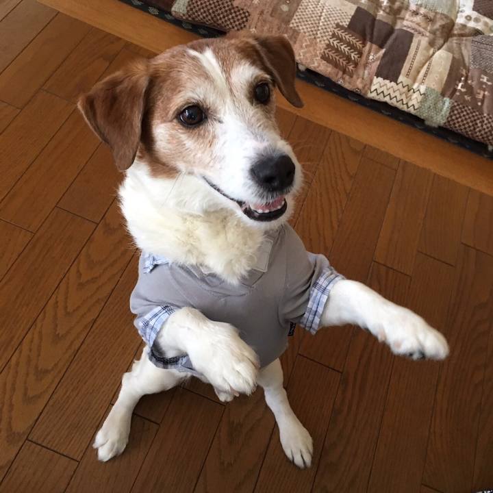 9694f9ff d0e3 48b6 86f5 b9fefca01826 1772525480949