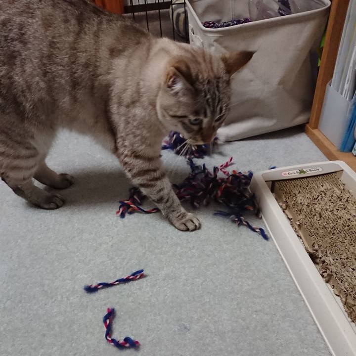 96951416 18c0 4791 ac60 260b5b9dbb3e 1536398629436