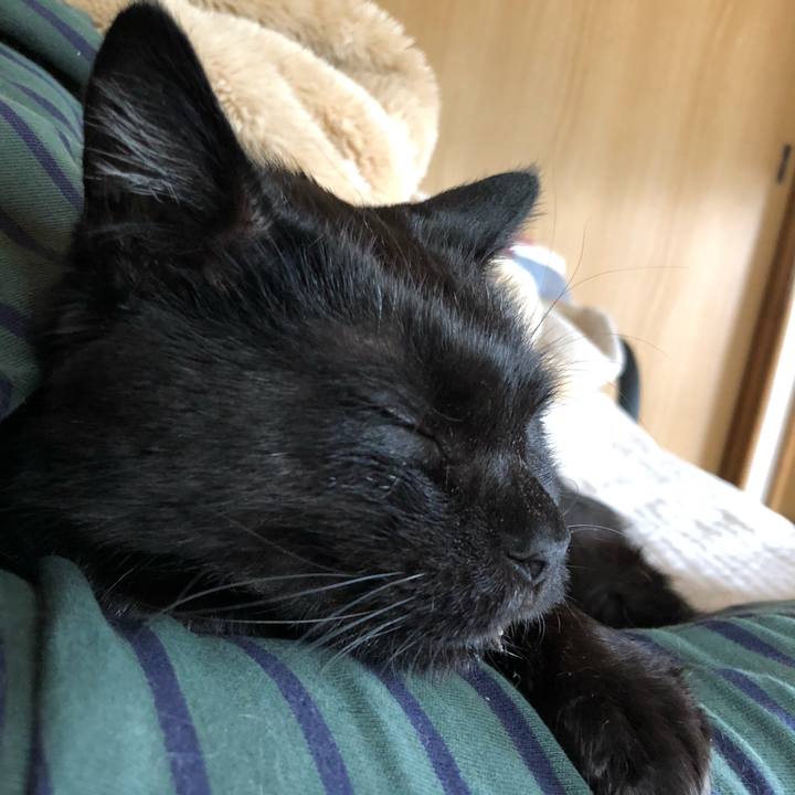 969515a7 d6cc 454b 8221 6a3a5de1433d 1622498286894