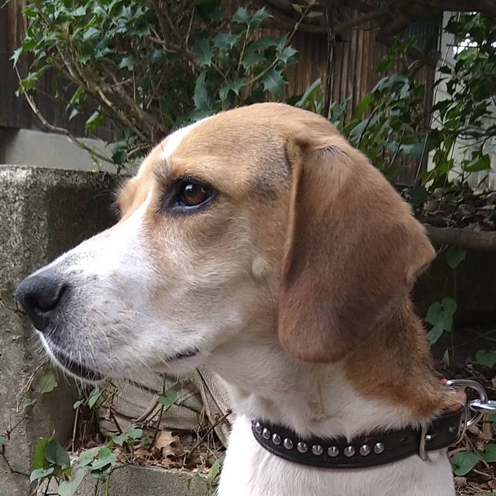 96951704 08c6 421b abe1 959ff8e7454d 1631530556272