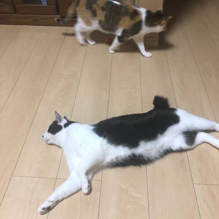 96953233 12d1 4c17 889f 5bae5751b064 1589454322840