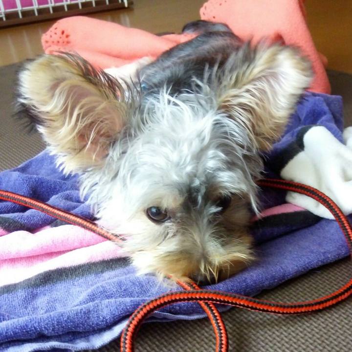 96959487 8487 4296 b705 361d6ecce015 1536542556202