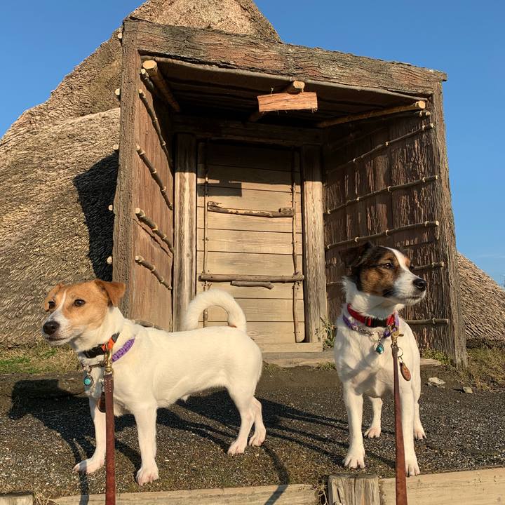 969597f6 7be6 485b aefe ac029cbc6087 1576663945155