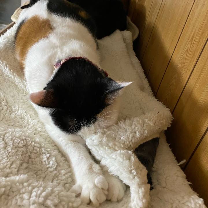 9695a6ef 0509 4aa5 a39a 220f94f97709 1671886352526