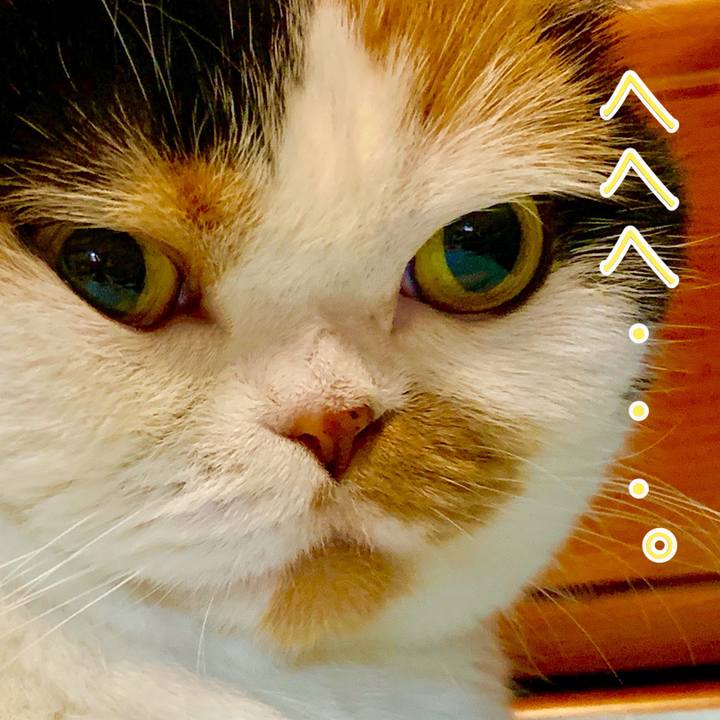 9695c952 d1a9 44c9 8df6 c5566ae60258 1564232874383