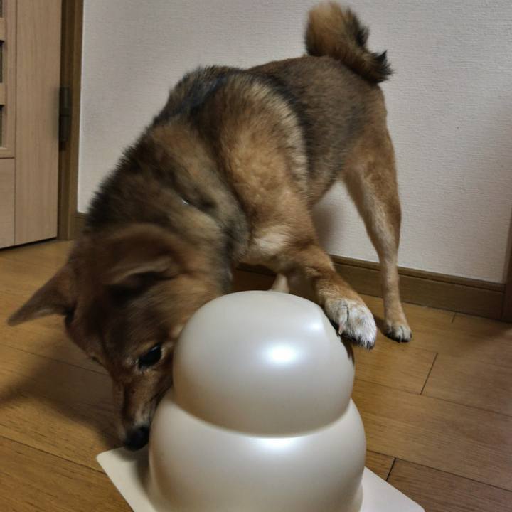 9695f96d f7c9 4f09 870b fde4bcb071ed 1517393330503