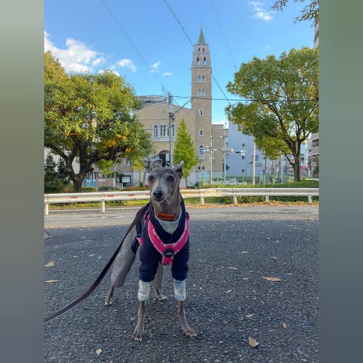 969609da ee0d 48c8 bd90 7c0f63969850 1764239547443