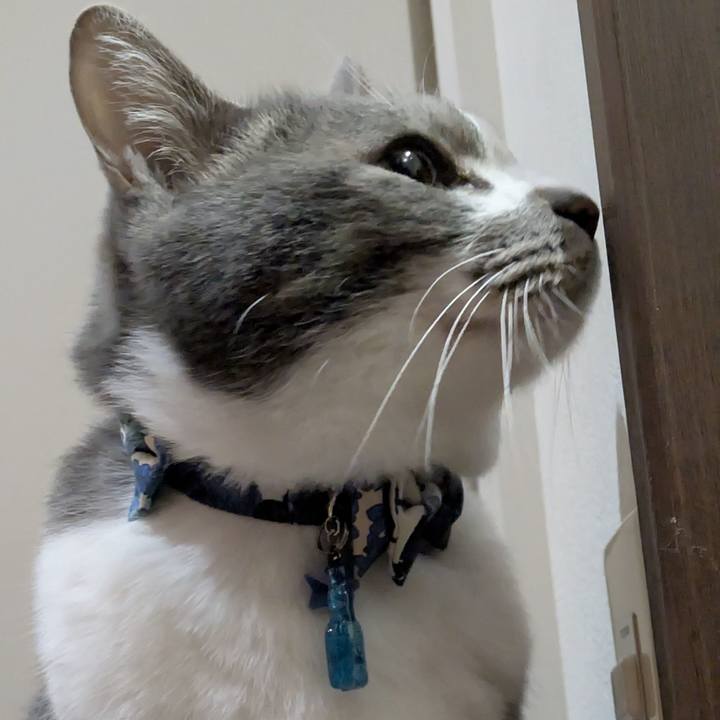 96962325 0c84 4a8b a821 4bf46436bca1 1771850994808