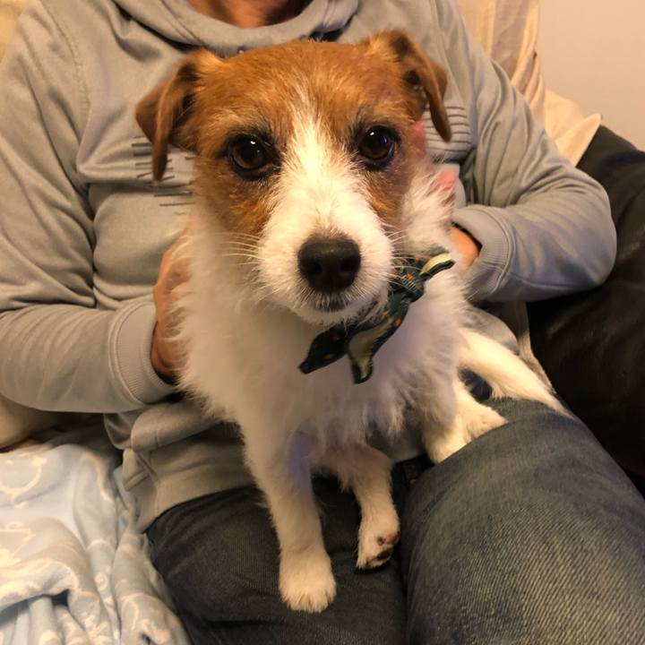 96963d45 a4cf 4e14 83ee 2611d9ec90cf 1577809661982