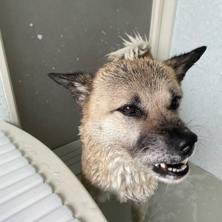 9696c195 e59d 421b 96a8 bd9d4039cb99 1685181611527