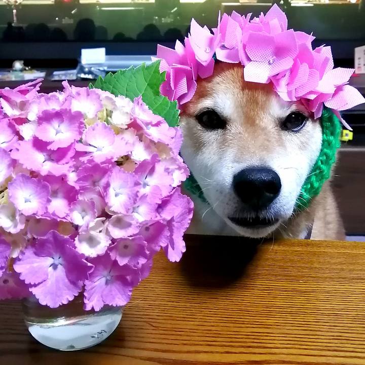 9696daef bf87 4078 a54f e5852cdd08ae 1655199302859