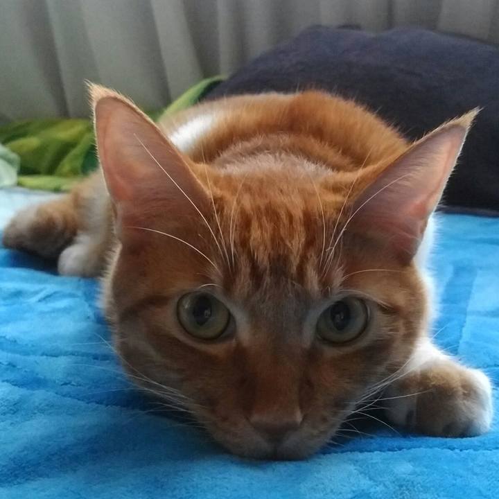 9697219b 6725 40aa bb8c 5d3ade588fc9 1571544869164